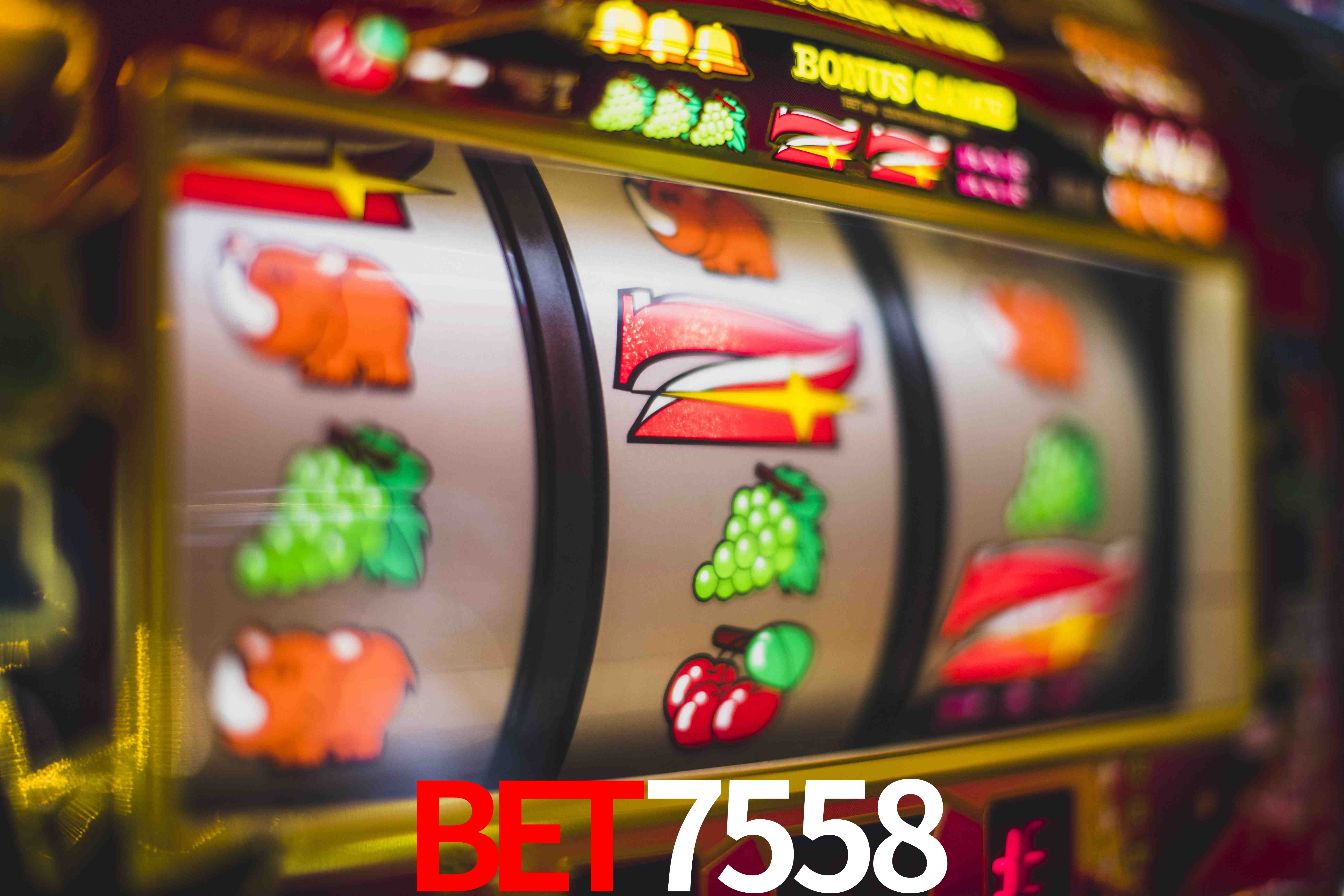 Bet7558 Plataforma
